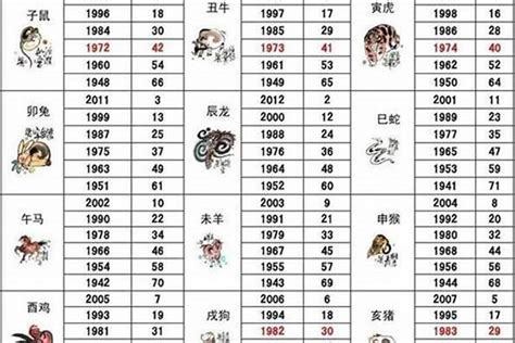 2000年出生属什么|2000 年出生属什么生肖